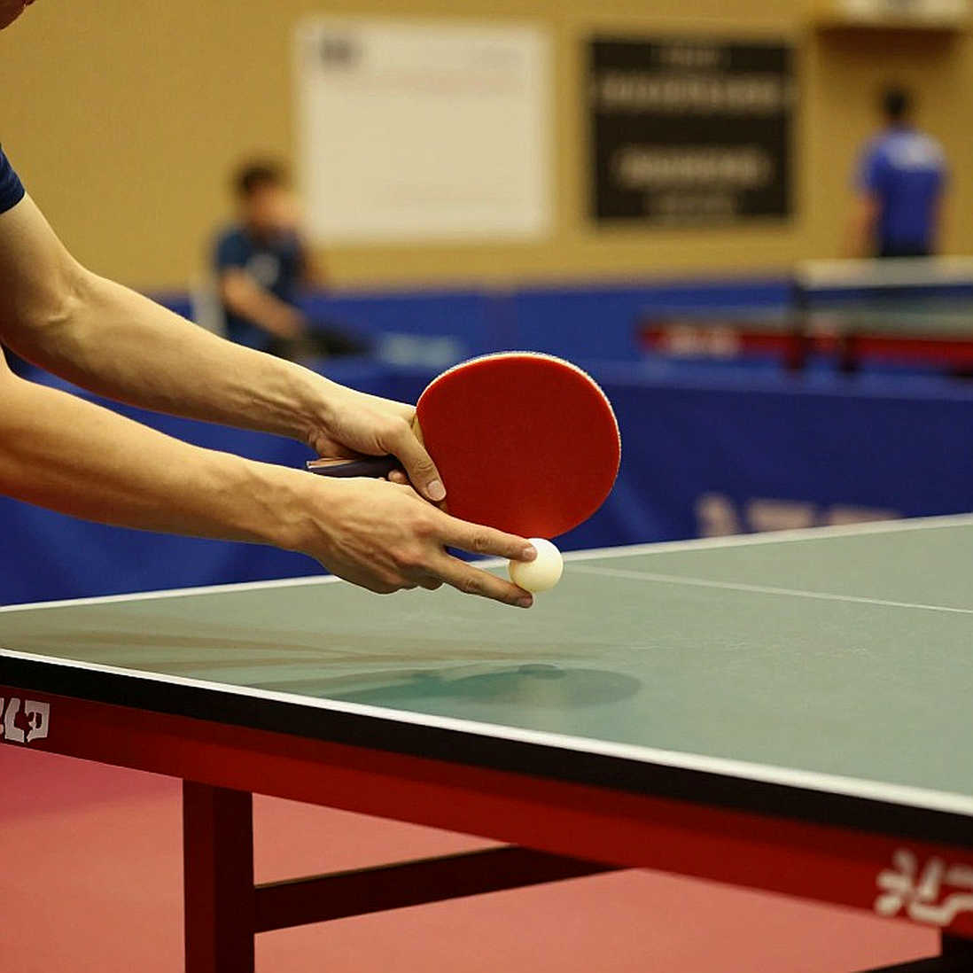 Chinese Table Tennis Experts Visit North Macedonia: Four Days, One System and an Unanswered Question Chinese Table Tennis Experts Visit North Macedonia: Four Days, One System and an Unanswered Question
