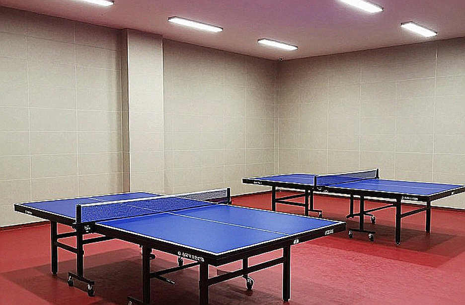 Nine Dimensions of Table Tennis Analysis: When a Football Watcher Looks Across the Net Nine Dimensions of Table Tennis Analysis: When a Football Watcher Looks Across the Net